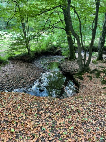 Deilbachtal Rundweg