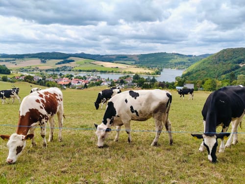 Vom Diemelsee zur Grube