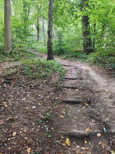 Gerendal Rondwandeling