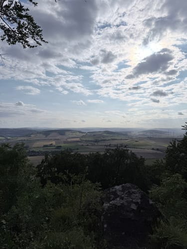 SA2 Wasserbaum-Weg