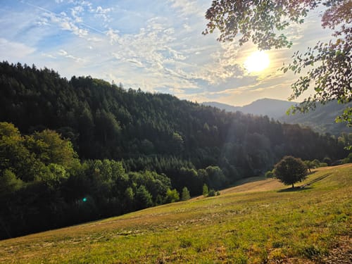 Karlsruher Grat (Genießerpfad)