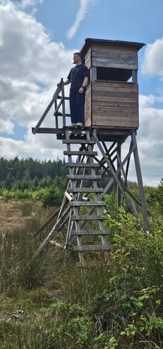 Struffeltroute