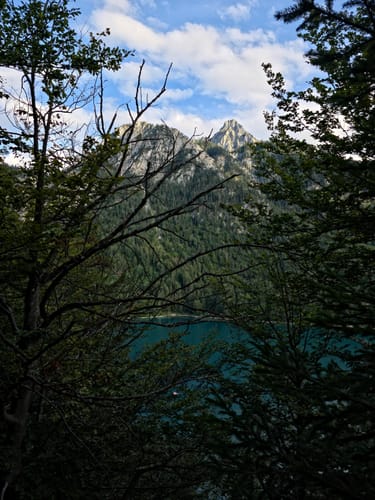Alpsee Rundweg über Sommerweg und Winterzuweg