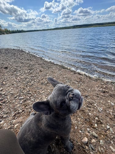 Um den Freizeitsee Dießfurt