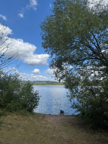 Um den Freizeitsee Dießfurt