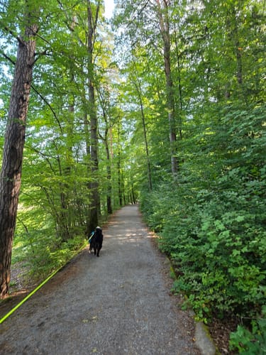 Bärensee Rundweg