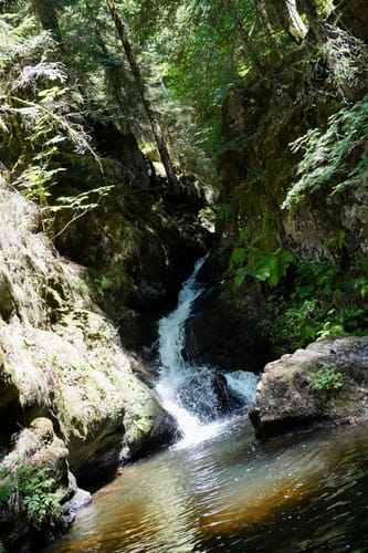 Der Ravennaschlucht Weg