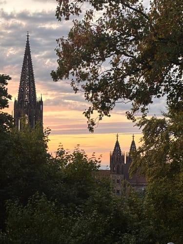 Schlossberg Runde Freiburg