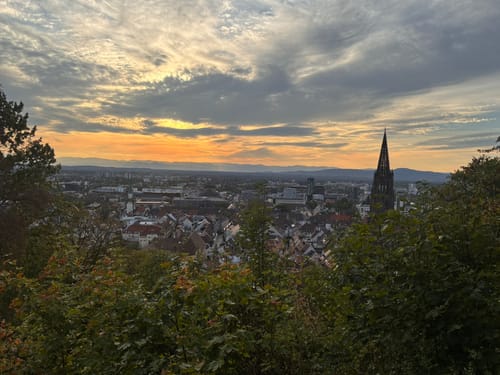 Schlossberg Runde Freiburg