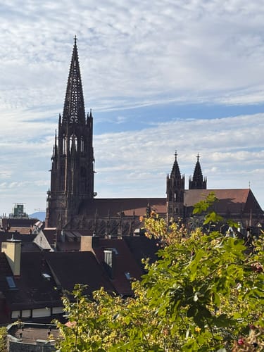 Schlossberg Runde Freiburg