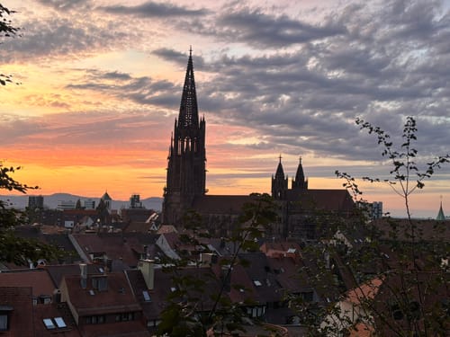 Schlossberg Runde Freiburg