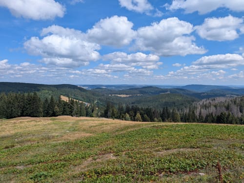 Feldbergsteig (Genießerpfad)