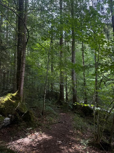 Ramsauer Malerweg