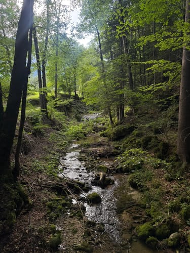 Ramsauer Malerweg