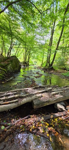 Baybachklamm (Traumschleife)