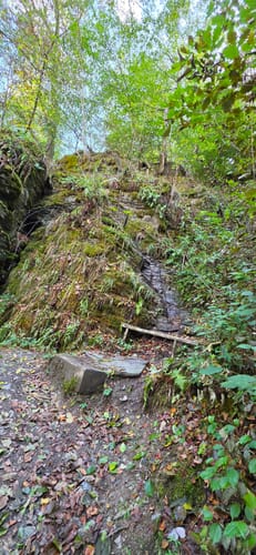 Baybachklamm (Traumschleife)