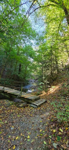 Baybachklamm (Traumschleife)
