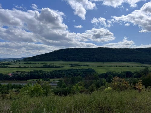 Rund um Mönchsberg und Vogelberg