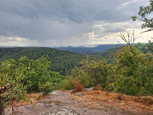 Zum Drachenfels über den Becherskopf