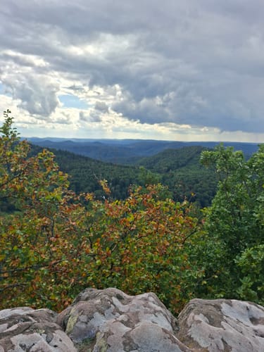Zum Drachenfels über den Becherskopf