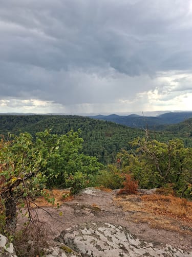 Zum Drachenfels über den Becherskopf