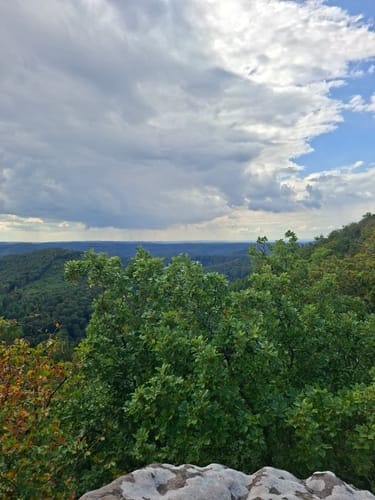 Zum Drachenfels über den Becherskopf