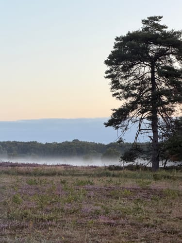 Springendal Groene Wandelroute Bronnenroute