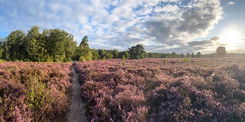 Springendal Groene Wandelroute Bronnenroute
