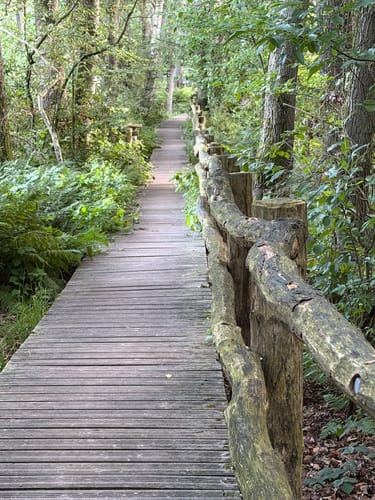 Springendal Groene Wandelroute Bronnenroute