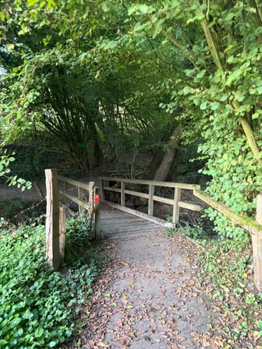 Stinderbachtal bei Ekrath