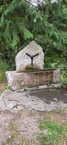 Glaswaldsee - Teufelskanzel - Südliche Griesbacher Wasserfälle