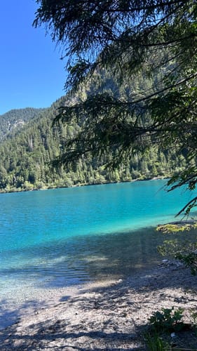 Rund um den Plansee
