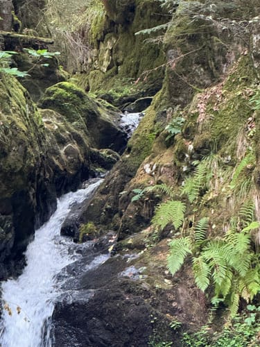 Der Ravennaschlucht Weg