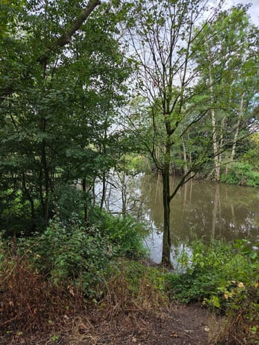 An der Erft zum Schloss Reuschenberg