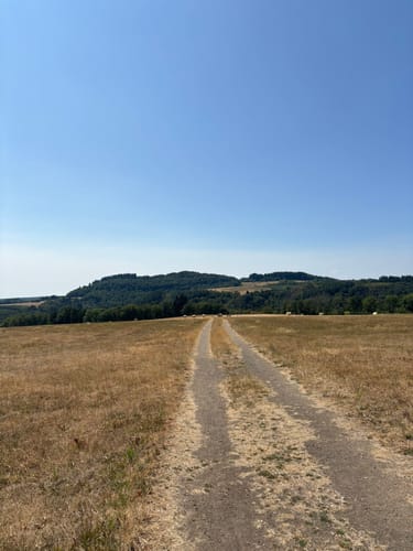 Von der Heidsmühle ins Liesertal