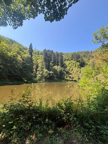 Von der Heidsmühle ins Liesertal