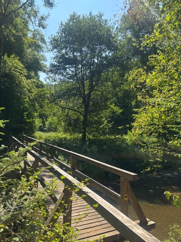 Von der Heidsmühle ins Liesertal