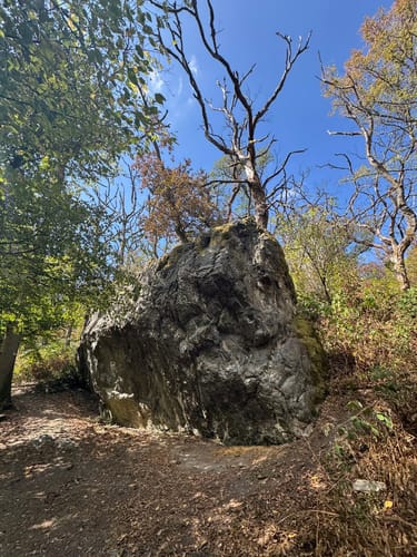 Kronberg - Altkönig - Fuchstanz