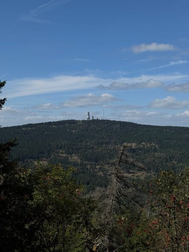 Kronberg - Altkönig - Fuchstanz