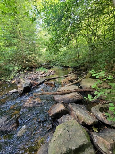 Trauntal-Höhenweg (Premiumwanderweg)