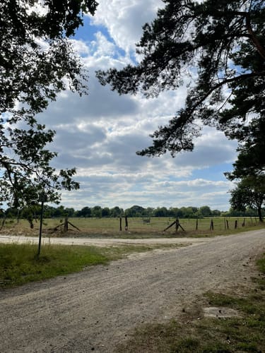 Durch die Steller Heide