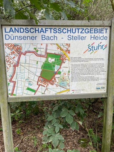 Durch die Steller Heide