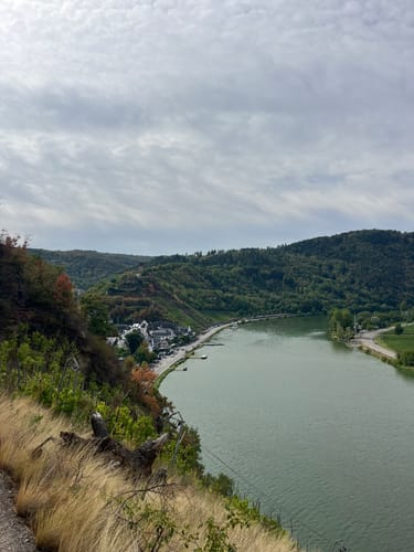 Moselsteig Etappe 18: Beilstein - Cochem