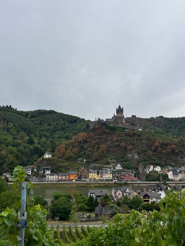 Moselsteig Etappe 18: Beilstein - Cochem