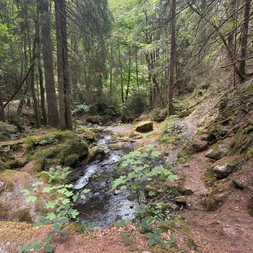 Hinterzarten und Ravennaschlucht