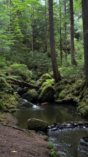 Hinterzarten und Ravennaschlucht