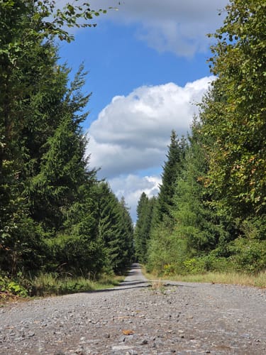 Oberhöllgrund - Mülben