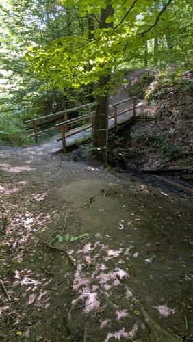 Durch die Wälder bei Schloss Landsberg