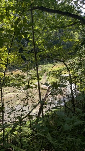 Durch die Wälder bei Schloss Landsberg