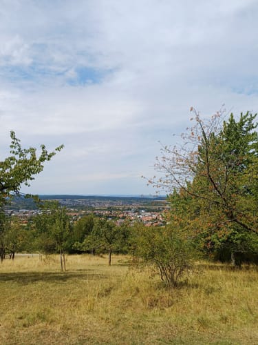 Von den Kalksteinbrüchen um den Farrenberg